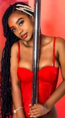 Experience Unforgettable Moments with Stella Night Tonight